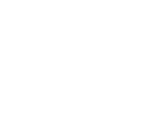 Fleet Transport Consultants