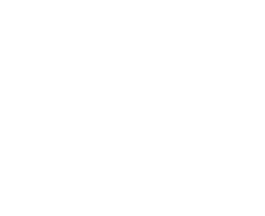 Fleet Transport Consultants